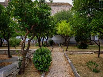 Attraversando il rigoglioso cortile tra agrumi, cycas e arbusti...